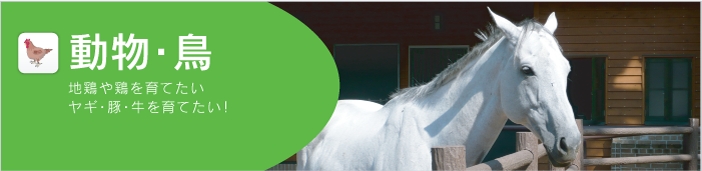 Thread_banner_2