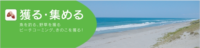 Thread_banner_5